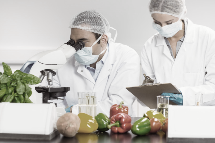 Alimentos